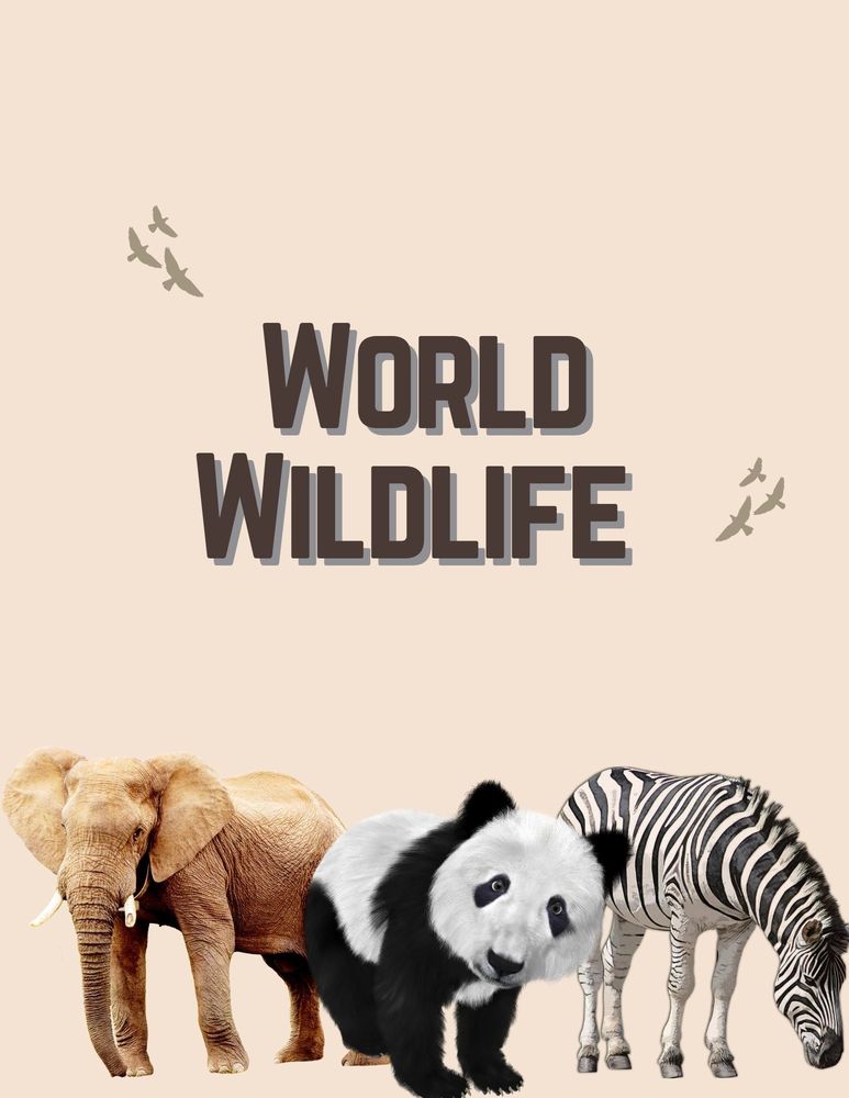 world wildlife with elephant, panda, zebra