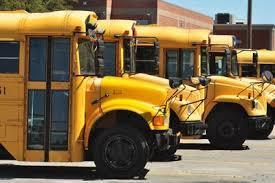 photo of many school buses
