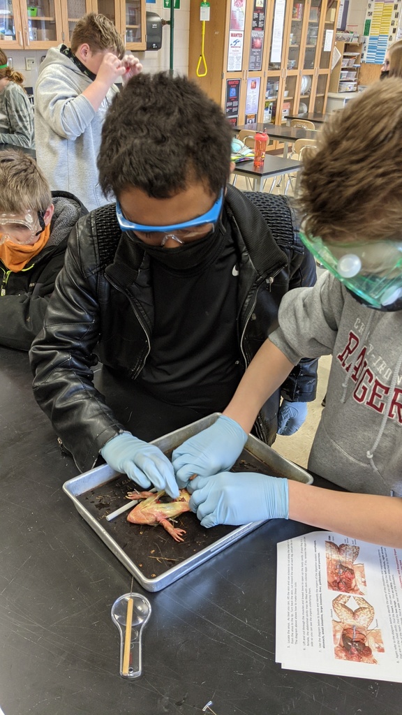 2 male students with a frog