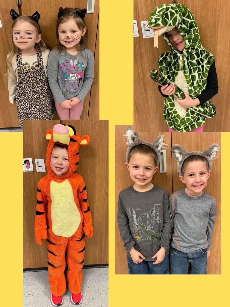 animal day