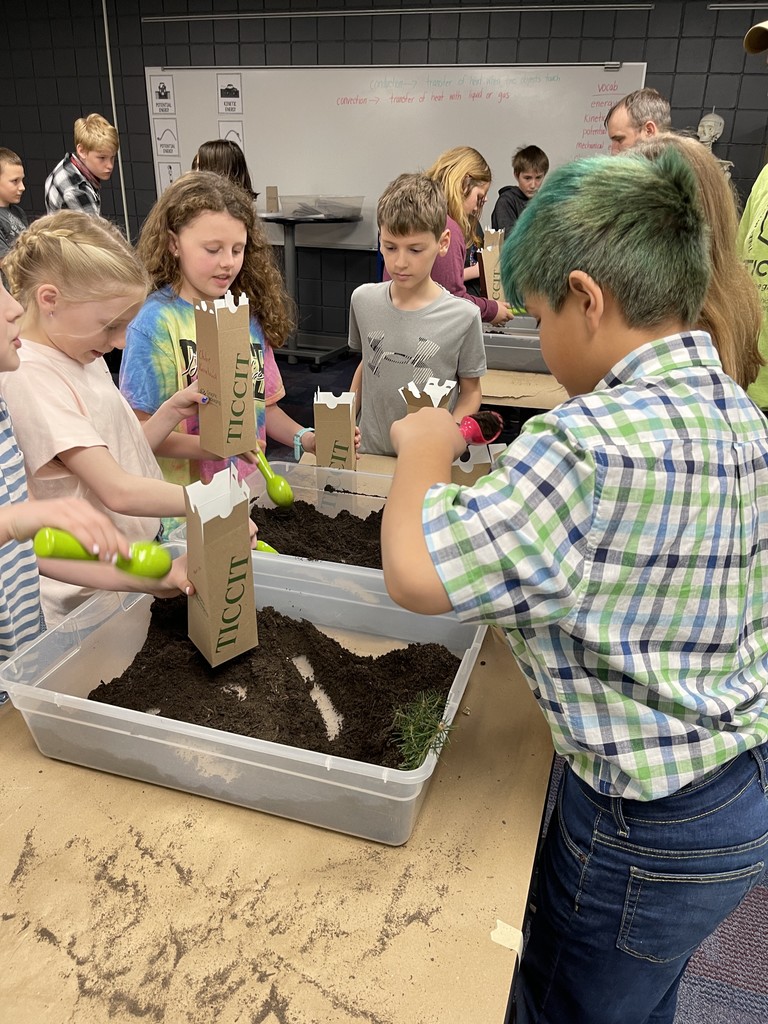 students planting a tree in a box