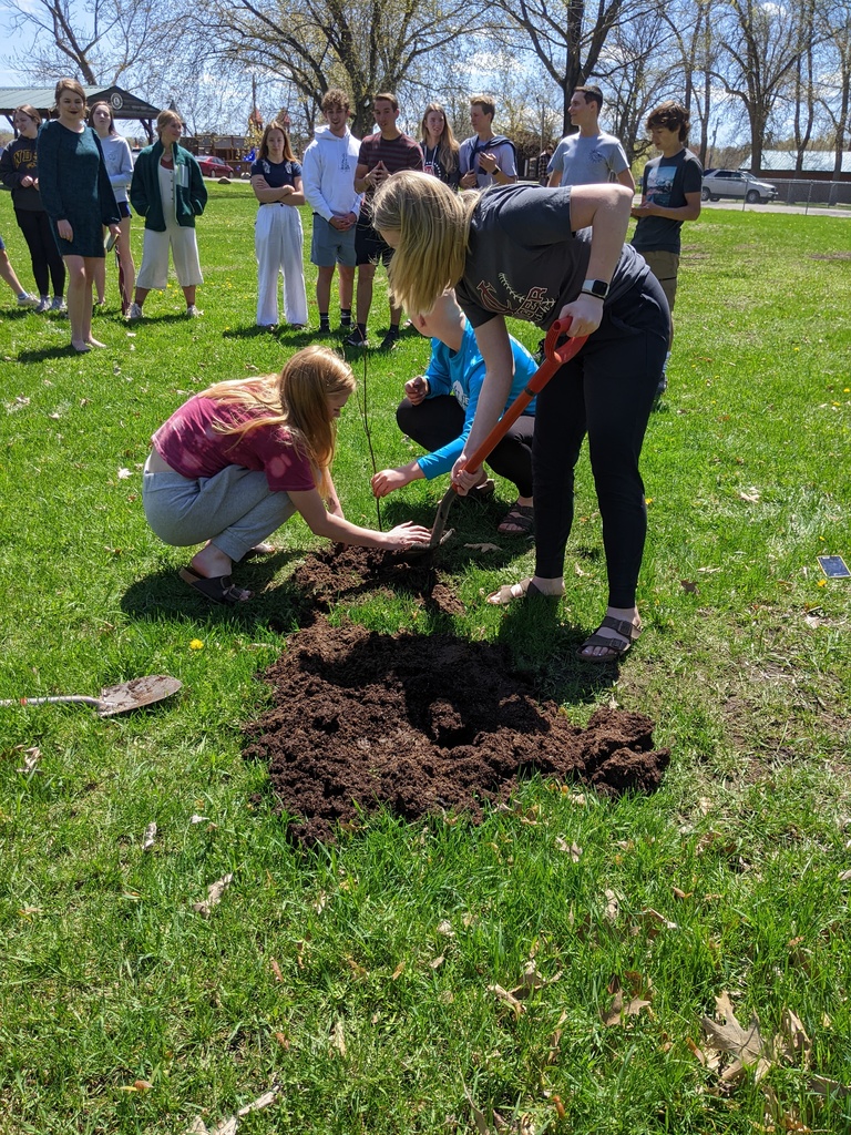 students placing a tree in a hole